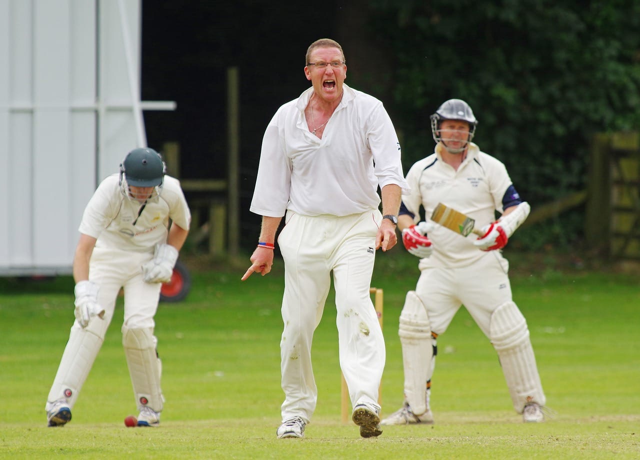 cricket-724619_1280