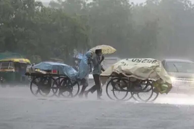 बीते 24 घंटे में जिले में 20.5 मिली मीटर औसत वर्षा दर्ज
