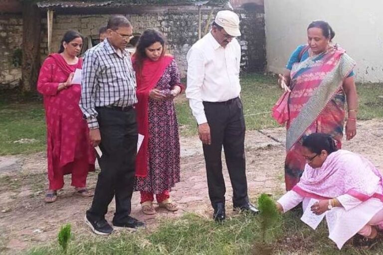 वृक्षारोपण अभियान में लगातार रोपे जा रहे पौधे