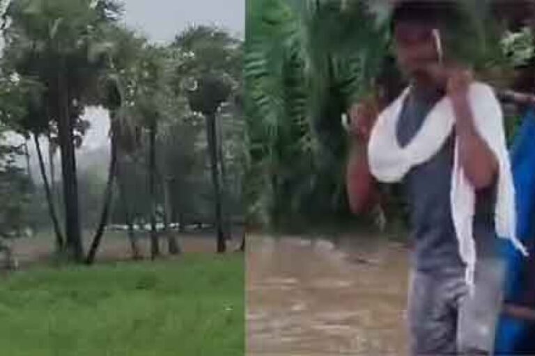 छत्तीसगढ़&बस्तर के आदवासी इलाकों में भरा पानी, बारिश में चारपाई पर गर्भवती को एंबुलेंस तक पहुंचाया