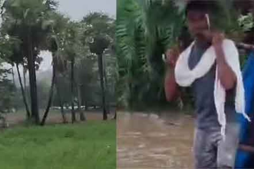 छत्तीसगढ़&बस्तर के आदवासी इलाकों में भरा पानी, बारिश में चारपाई पर गर्भवती को एंबुलेंस तक पहुंचाया