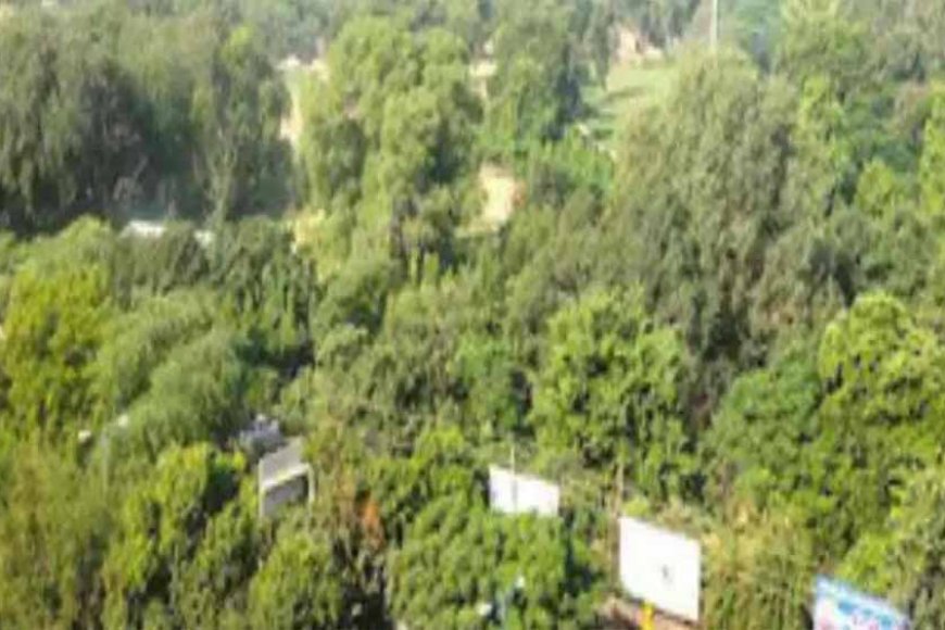 इंदौर शहरी क्षेत्र में बंद मिलों की जमीनों का उपयोग शहर हित में किया जाना है, अब मिल की जमीन पर बनेगा सिटी फारेस्ट