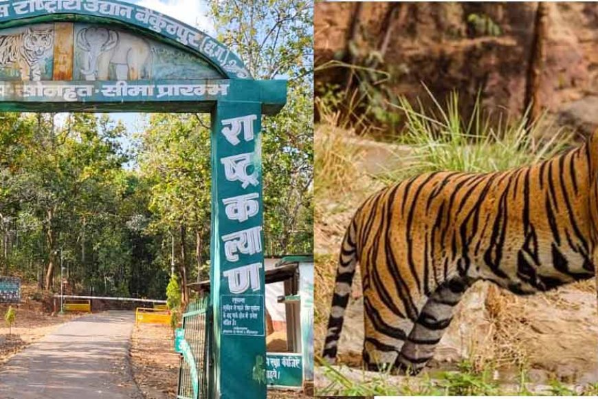 साय सरकार ने गुरु घासीदास& तमोर पिंगला को टाइगर रिजर्व के रूप में किया अधिसूचित