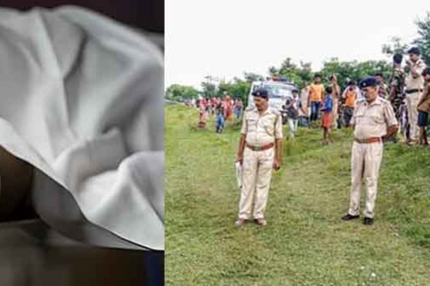 छत्तीसगढ़&बीजापुर में नाले के पास युवती का शव मिलने से हड़कंप, जांच में जुटी पुलिस