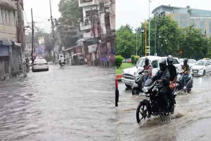 बिहार&अलवर रातभर की बारिश से जलभराव, नगर निगम के दावों की पोल खोली