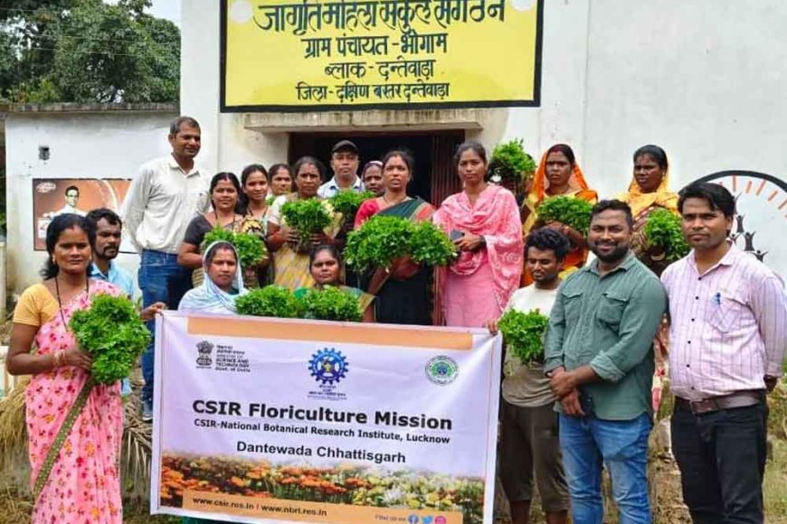 छत्तीसगढ़&दंतेवाड़ा में दीदियों को मिलेगी अतिरिक्त आमदनी, फूलों की खेती का दिया प्रशिक्षण