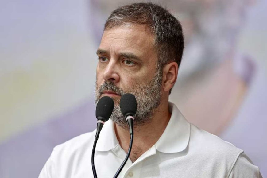 राहुल सितंबर में जा सकते हैं अमेरिका, नेता प्रतिपक्ष बनने के बाद पहली विदेश यात्रा