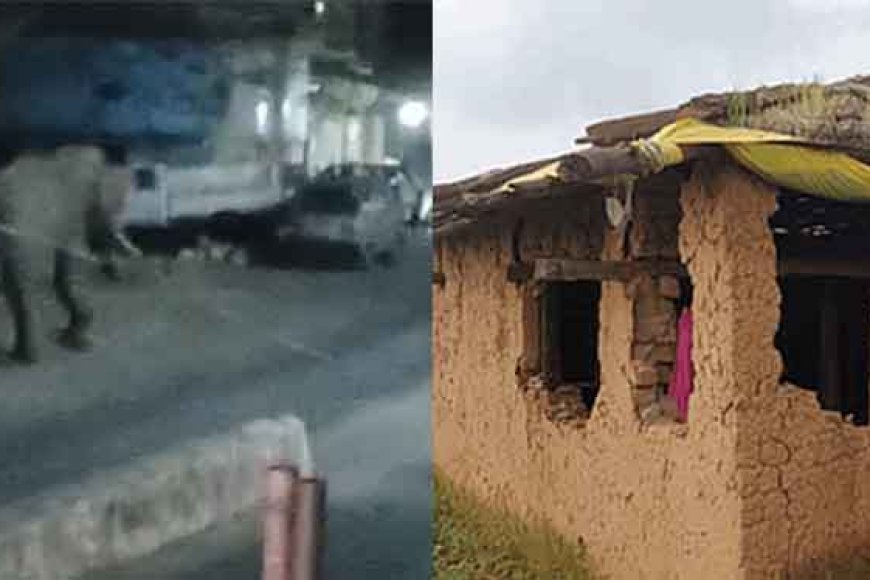 छत्तीसगढ़&रायगढ़ में हाथियों ने आठ घर तोड़े, 30 किसानों की फसलें कीं तबाह