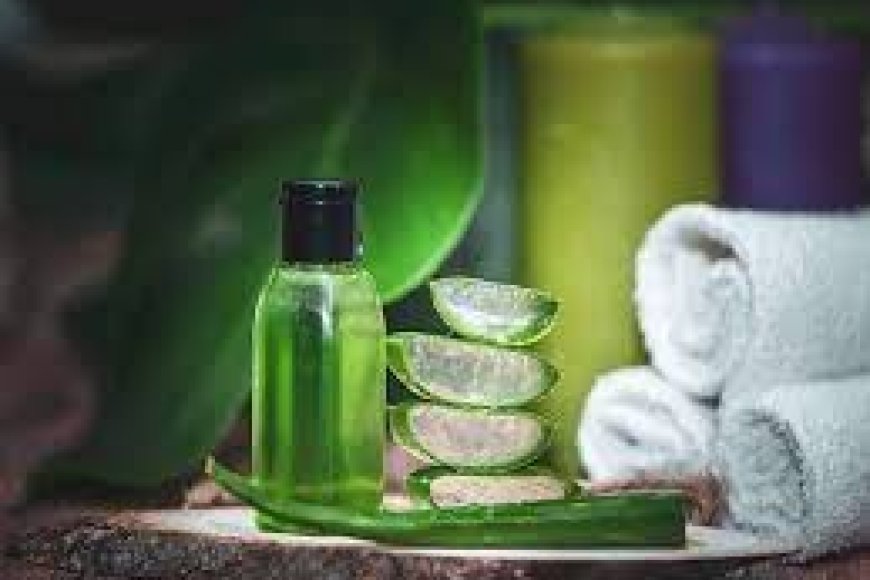 Aloe Vera और Curry Leaves के साथ Shampoo Remedy: बालों की बेहतरीन देखभाल