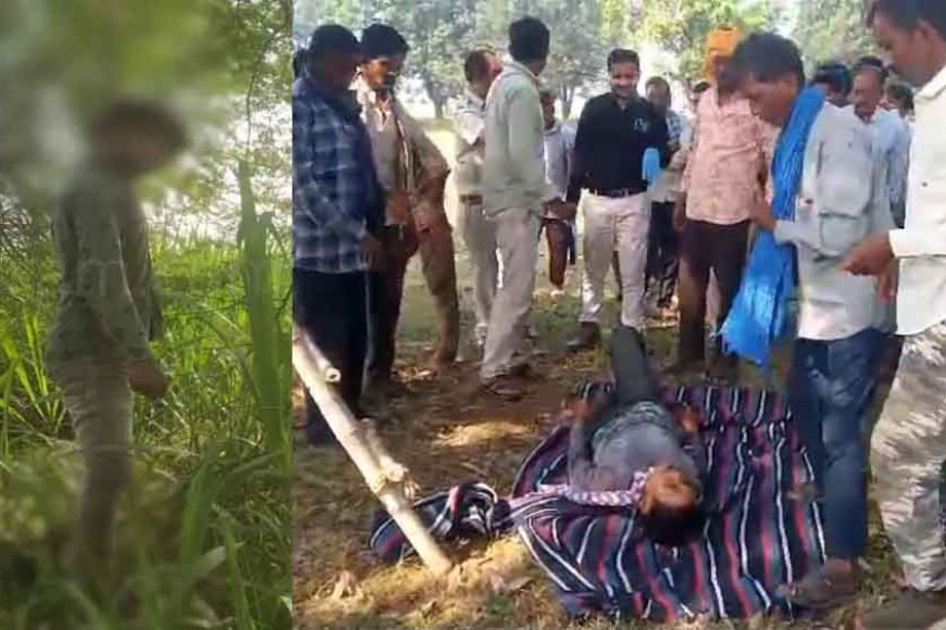 छत्तीसगढ़&कवर्धा में पेड़ पर लटकी मिली युवक की लाश