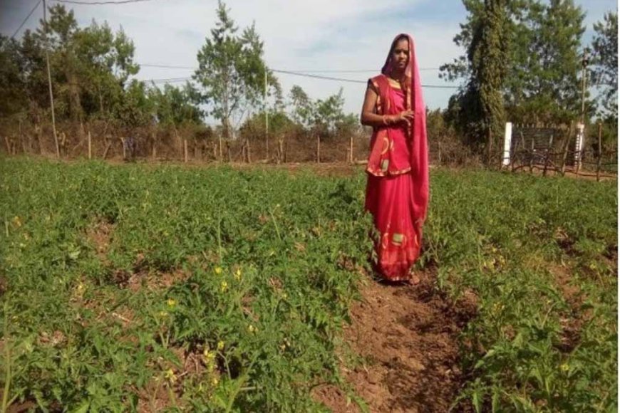 स्व&सहायता समूह ने बदली मंजूलता की ज़िन्दगी, जैविक खेती से बढ़ाई आय