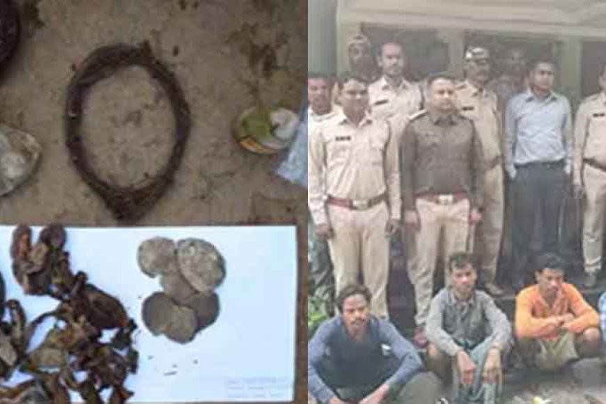 छत्तीसगढ़&बलौदाबाजार में जंगली जानवरों का शिकार करते हुए पांच शिकारी गिरफ्तार