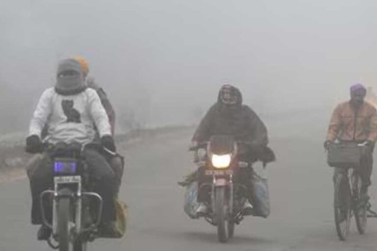 उत्तरी हवाओं ने ठिठुरन बढ़ाई, शीतलहर की संभावना, नये साल में ठंड का असर ग्वालियर&चंबल में ज्यादा