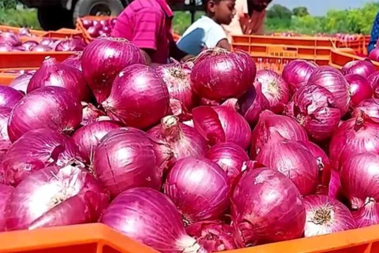 प्याज के दामों में 50% गिरावट से जनता खुश, लेकिन दामों में तेजी से हो रही गिरावट से किसान निराश