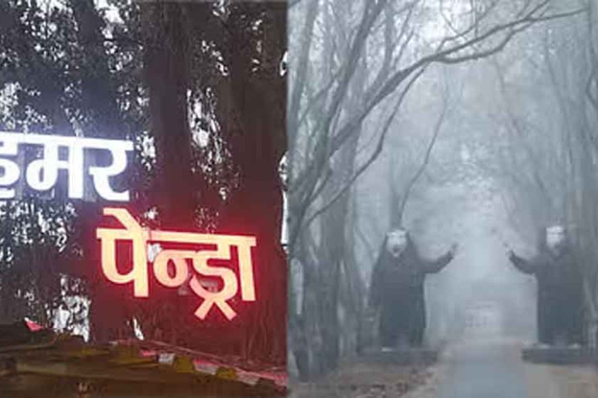 छत्तीसगढ़&कड़ाके की ठंड से नए साल का स्वागत, कंपकंपी में अलाव बना सहारा