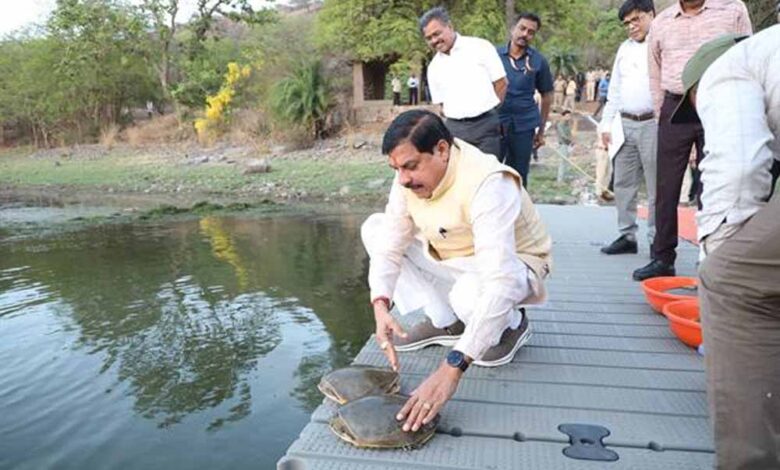 मुख्यमंत्री डॉ. यादव ने वन विहार राष्ट्रीय उद्यान के जल क्षेत्र में छोड़े कछुए