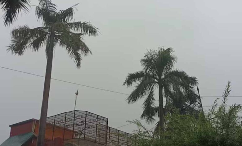 मध्यप्रदेश में इन दिनों आंधी-बारिश का दौर जारी, अगले तीन दिन बारिश के साथ तेज आंधी की चेतावनी