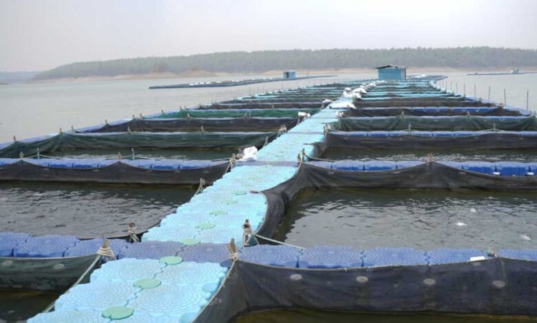 रायपुर : छत्तीसगढ़ के कोरबा जिले में बनेगा राज्य का पहला एक्वा पार्क
