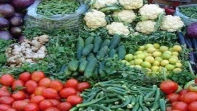 मानसून की मार से सब्ज़ियां हुईं बेदम, रसोई का संतुलन डगमगाया