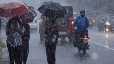 अगले 6 दिन भारी बारिश के नाम, मौसम विभाग ने किया हाई अलर्ट जारी
