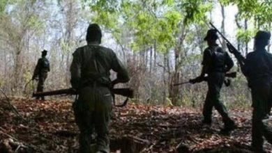 सुरक्षाबलों को मिली बड़ी सफलता, नारायणपुर में एनकाउटंर में 6 माओवादी ढेर, बड़ी संख्या में हथियार बरामद