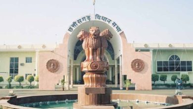 हसदेव अरण्य में पेड़ कटाई पर गरमाई सियासत, कांग्रेस ने विधानसभा में उठाया मुद्दा
