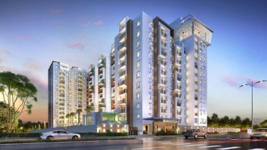 TVS Emerald Partners with Zolo to Provide Rental Assistance