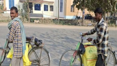 मोहला : छत्तीसगढ़ में खाद की कोई कमी नहीं