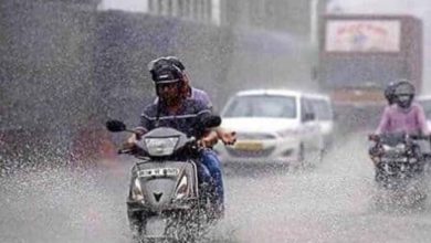 रायपुर : प्रदेश में अब तक 378.2 मि.मी. औसत वर्षा दर्ज
