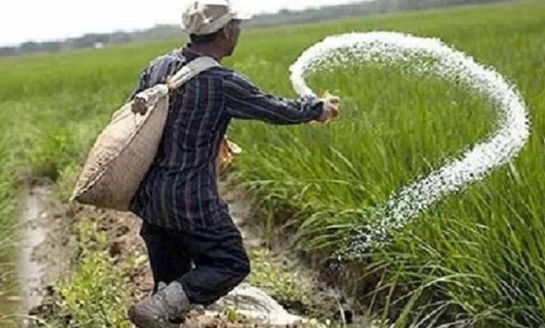 छत्तीसगढ़ में खाद की कोई कमी नहीं