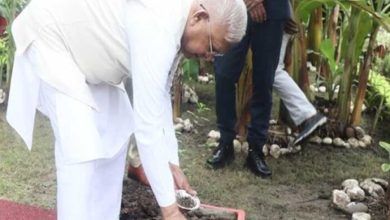 राज्यपाल पटेल ने राजभवन में रोपा तुलसी का पौधा