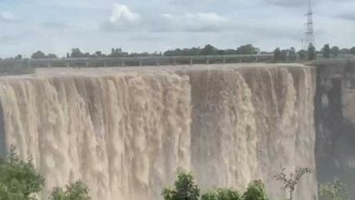 रीवा में वाटरफॉल्स में प्रशासन ने लगाई गई पटवारियों की ड्यूटी, क्योंटी और चचाई में रेलिंग नहीं