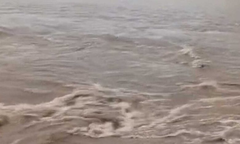 मूसलधार बारिश से बढ़ा जलस्तर: रनगुवां और कुटनी डैम के गेट खुले, कई जिलों में स्कूल बंद मूसलधार बारिश से बढ़ा जलस्तर: रनगुवां और कुटनी डैम के गेट खुले, कई जिलों में स्कूल बंद