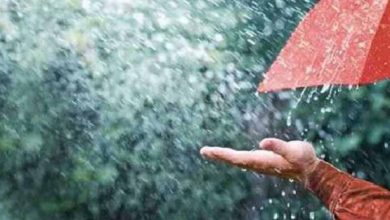 प्रदेश में अब तक 364.1 मि.मी. औसत वर्षा दर्ज