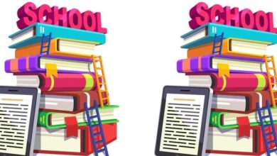 सांदीपनि और आईसीटी लैब वाले विद्यालयों को मिली कौशल विकास पुस्तिका