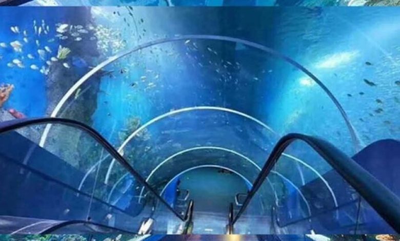 भोपाल में बन रहा 40 करोड़ का एक्वा पार्क, 3D इंटरेक्टिव जोन और वॉटर टनल से होगा रोमांच भोपाल में बन रहा 40 करोड़ का एक्वा पार्क, 3D इंटरेक्टिव जोन और वॉटर टनल से होगा रोमांच