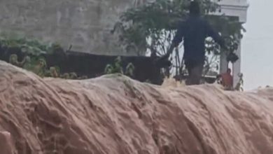 मध्यप्रदेश में तेज बारिश का दौर जारी, बाणसागर के 8, सतपुड़ा डैम के 5 गेट  खुले