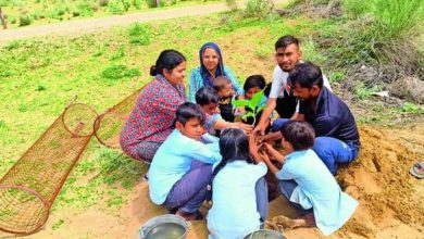 शालाओं के बच्चों द्वारा पौधारोपण के मामले में बालाघाट प्रदेश में प्रथम