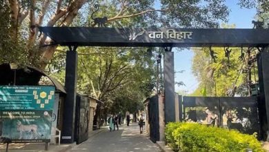 26 जुलाई तक बोट क्लब पर सुबह 5 से 9 बजे तक ट्रैफिक पूरी तरह बंद रहेगा