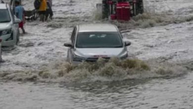 MP में कोटे की आधी यानी औसत 18 इंच बारिश हो चुकी, आज 17 जिलों में भारी बारिश की चेतावनी
