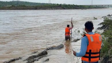 एसडीईआरएफ तथा होमगार्ड की टीम ने सोन नदी में फसे गोवंश को सुरक्षित नदी पार कराया