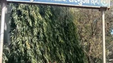 एक साथ पेंशन और सैलरी ली, अब लौटाने होंगे 54 लाख: पूर्व कुलपति की बड़ी चूक