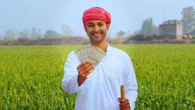 PM किसान: 20वीं किस्त पर कृषि मंत्रालय का बड़ा अपडेट, जानें कब आएगा पैसा