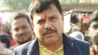 बिजली उपभोक्ता सायबर जालसाजों से रहें सावधान : ऊर्जा मंत्री तोमर