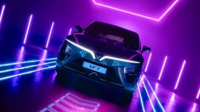 VinFast EVs Help First-Time Owners Navigate Electric Driving