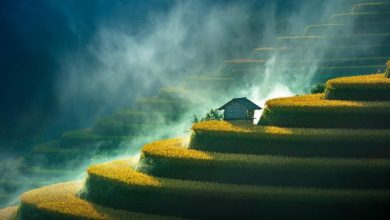 Greenstorm Unveils Winning Images Celebrating Beautiful Wetlands