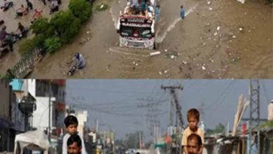 पाकिस्तान में बारिश का कहर: अब तक 221 लोगों की मौत, हालात बदतर
