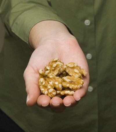 Walnuts Among Omega-3 Foods Linked to Brain Development Benefits in Children and Adolescents Walnuts Among Omega-3 Foods Linked to Brain Development Benefits in Children and Adolescents