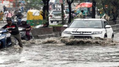 मप्र के 20 जिलों में भारी बारिश का अलर्ट, जबलपुर में जलभराव की आशंका, मड़ीखेड़ा डैम के गेट खुले