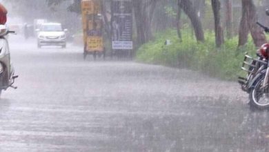 छत्तीसगढ़ में मॉनसून मेहरबान: अब तक 595.2 मिमी औसत बारिश दर्ज